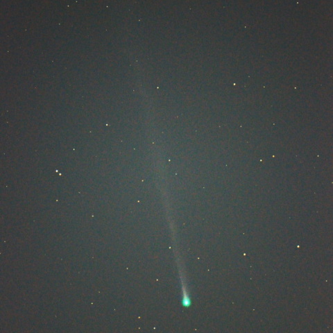 西村彗星(C2023 P1)