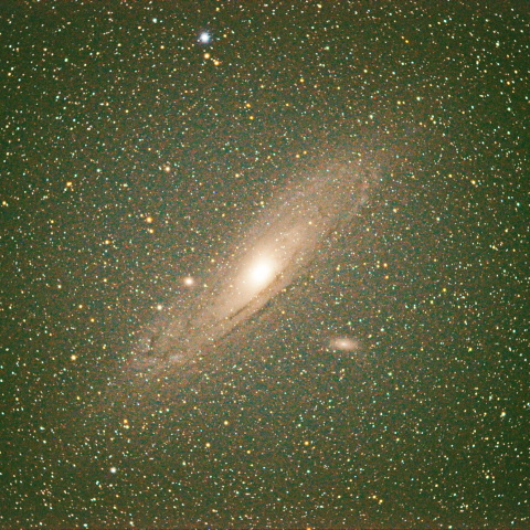 M31