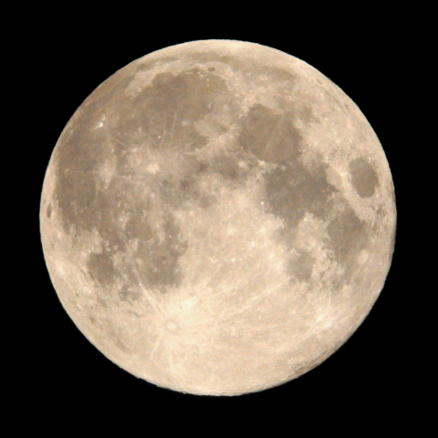 満月 フラワームーン