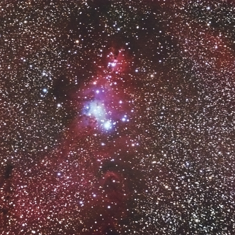 コーン星雲とクリスマスツリー星団