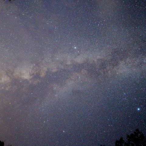 9月の夏の大三角