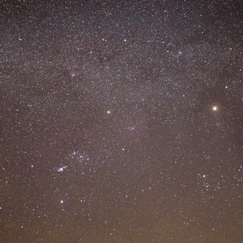 冬の訪れ　第2弾