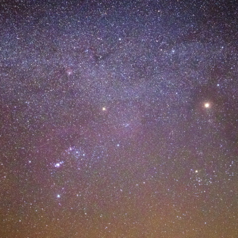 冬の訪れ　第2弾　＃2