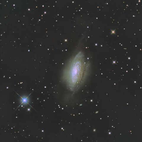 NGC3521
