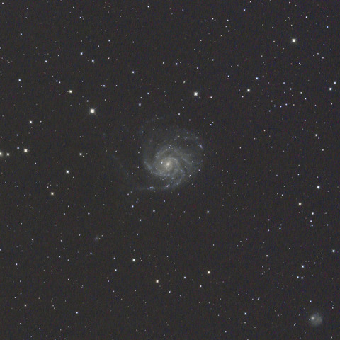 おおぐま座 M101 回転花火銀河