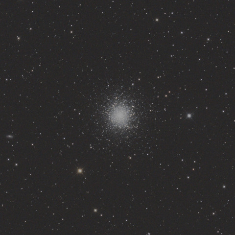 M13