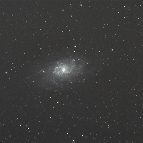 M33