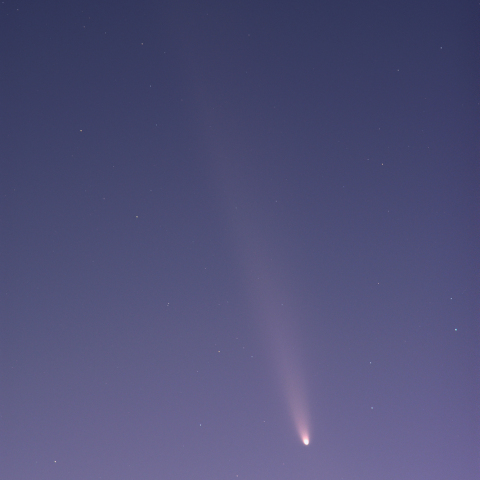 紫金山・アトラス彗星