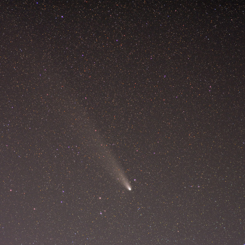 紫金山・アトラス彗星