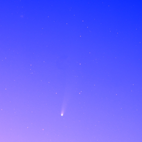 レモン彗星 11/3