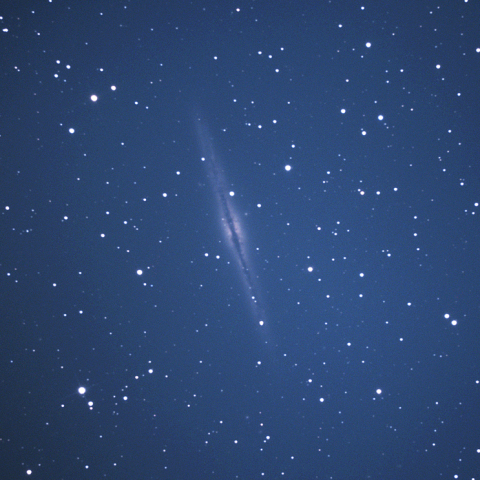 NGC891