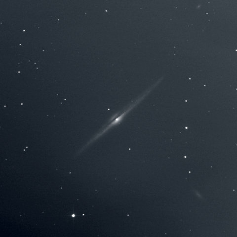 NGC4565