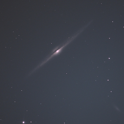 NGC4565
