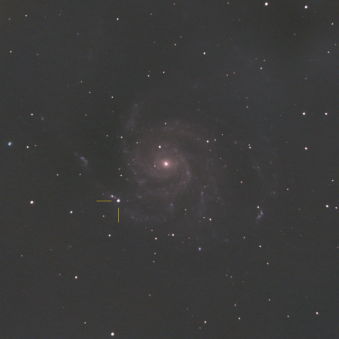 M101と超新星SN2023ixf