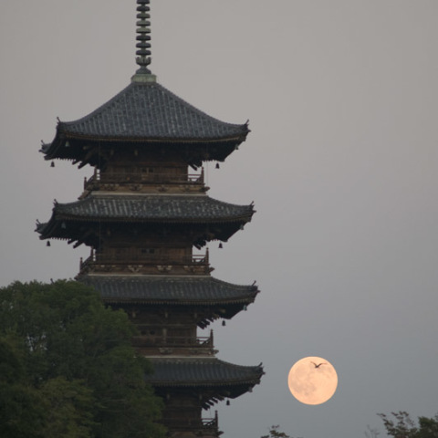 五重塔と満月