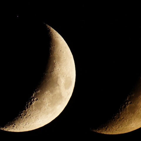 2024年8月10日　スピカ食　潜入直前&出現直後　　