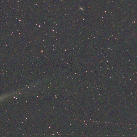 2025年10月17日 西空の レモン彗星(C/2025 A6)
