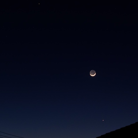 土星、月、水星　　2026年2月19日 　