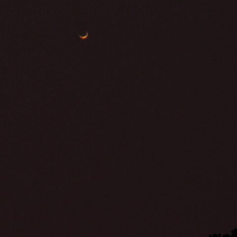 西空低空の金星