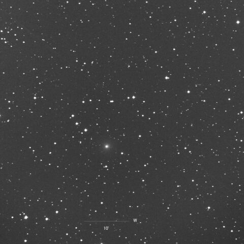 02/09/2025 C/2025 A6 LEMMON