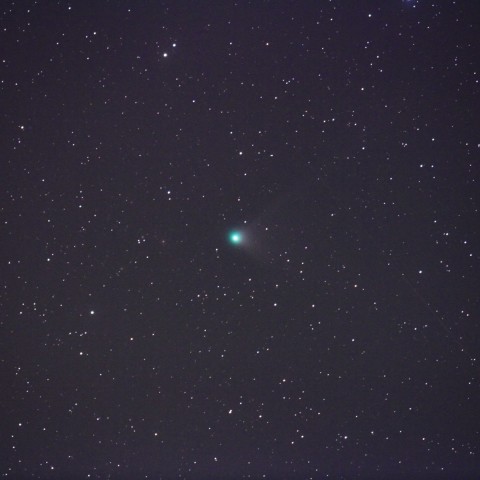 C/2012 F6 レモン彗星