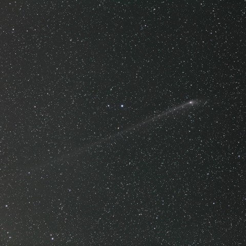 C/2011 L4 PanSTARRS と北極星