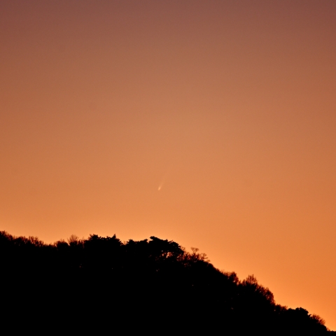 アトラス彗星（C/2024 G3）2025/01/11