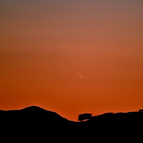 アトラス彗星（C/2024 G3）2025/01/16