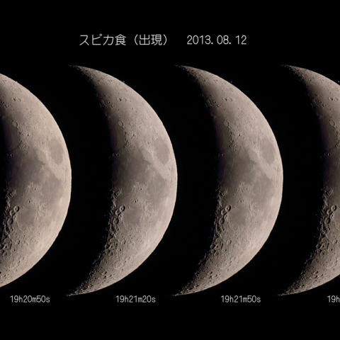 スピカ食（出現）
