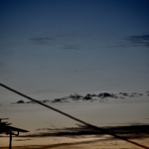 2024/10/1の紫金山・アトラス彗星