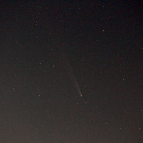 2024/10/20の紫金山・アトラス彗星