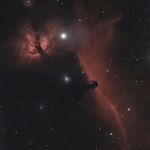 馬頭星雲