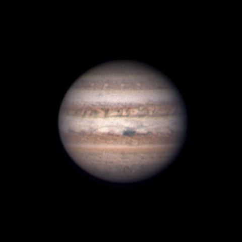 2017/5/20 チャップリン髭