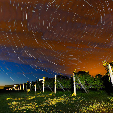 りゅう座流星群