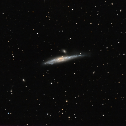 NGC4631　クジラ銀河