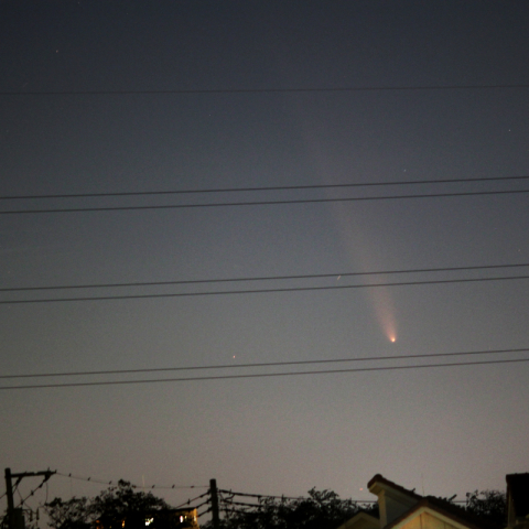 東京で撮影した紫金山・アトラス彗星(C/2023 A3)