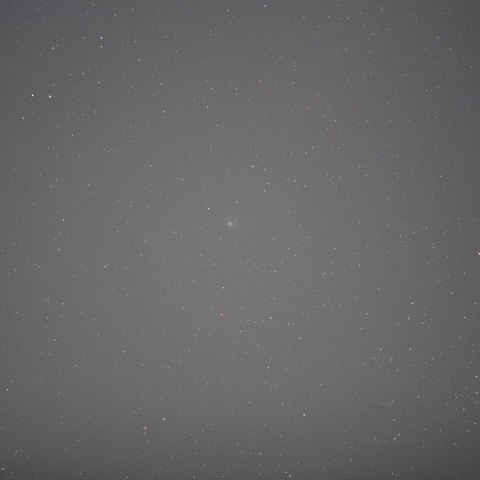 東京で撮影したラブジョイ彗星