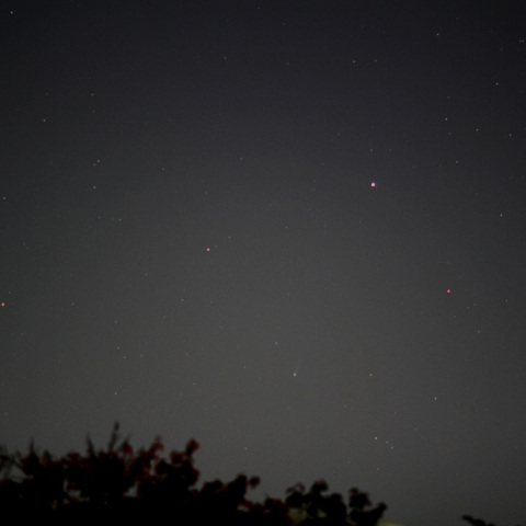 昇るアイソン彗星とスピカ