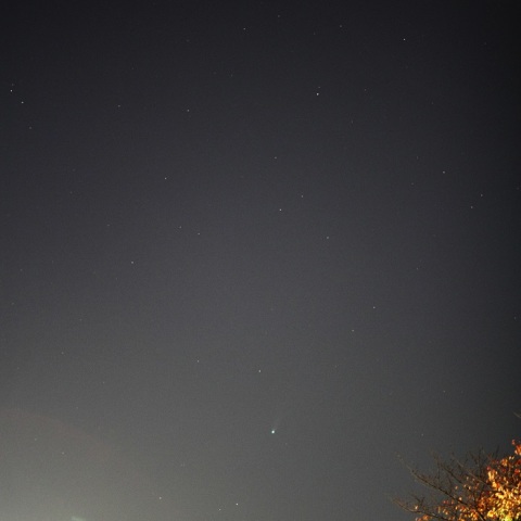 増光中のアイソン彗星