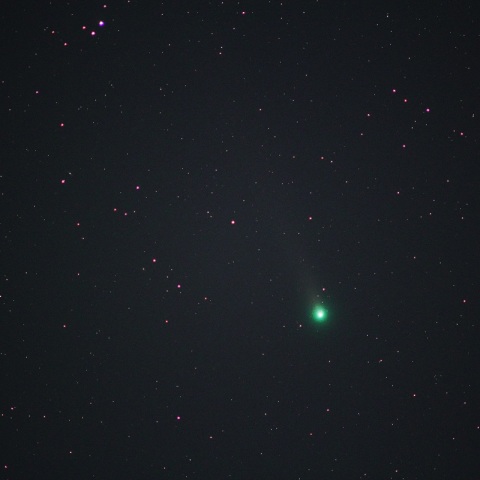 ラブジョイ彗星