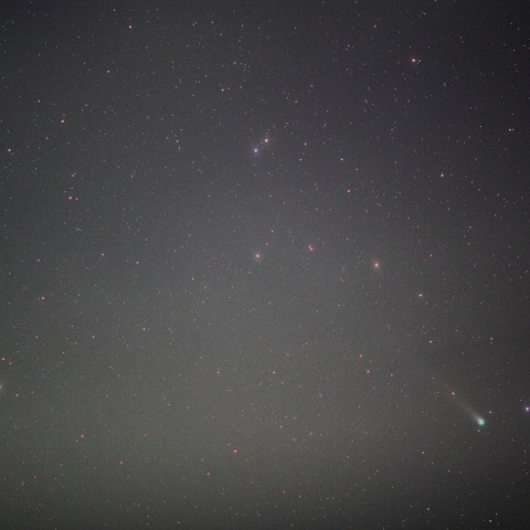 ラブジョイ彗星