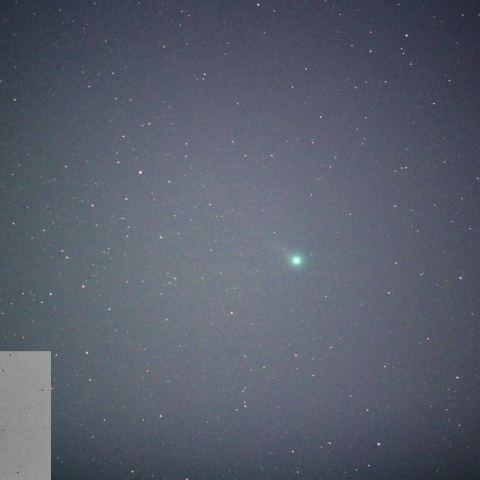 東京でも尾が写った！ラブジョイ彗星