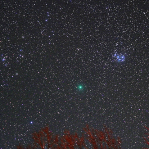 プレアデス・ヒアデスとウィルタネン彗星