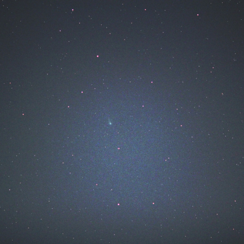 東京で撮影したレナード彗星