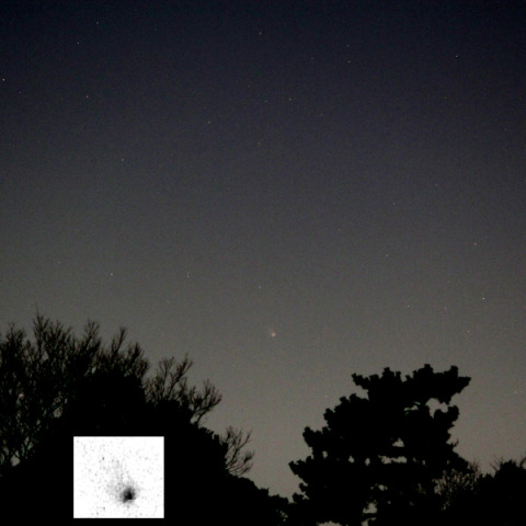 沈むレナード彗星