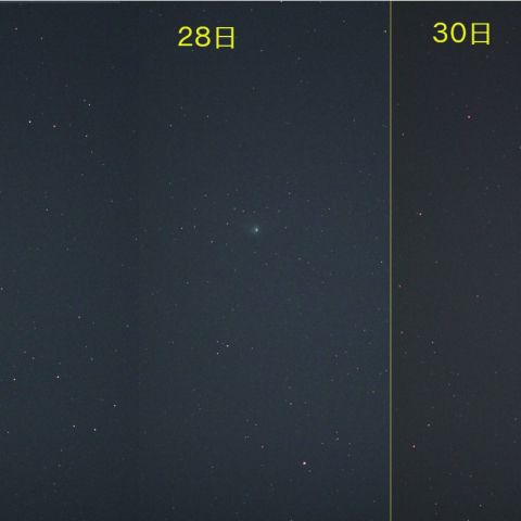 東京で撮影したZTF彗星