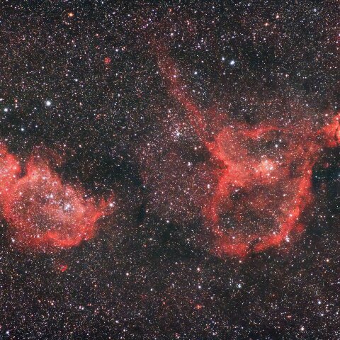 ハート星雲～胎児星雲