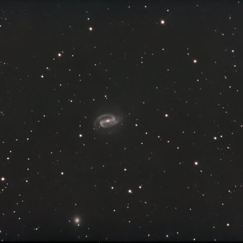 NGC1300
