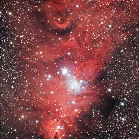 クリスマスツリー星団、コーン星雲