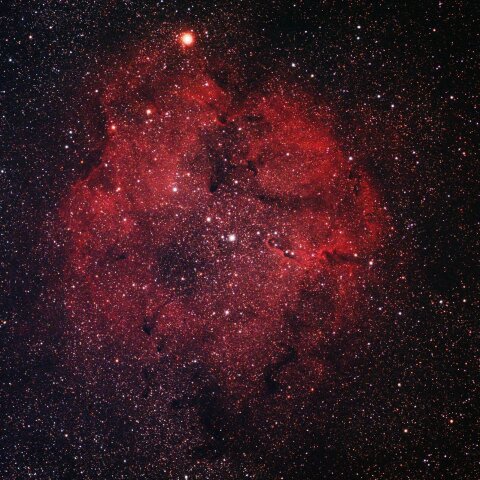 ケフェウス座の散光星雲 IC1396